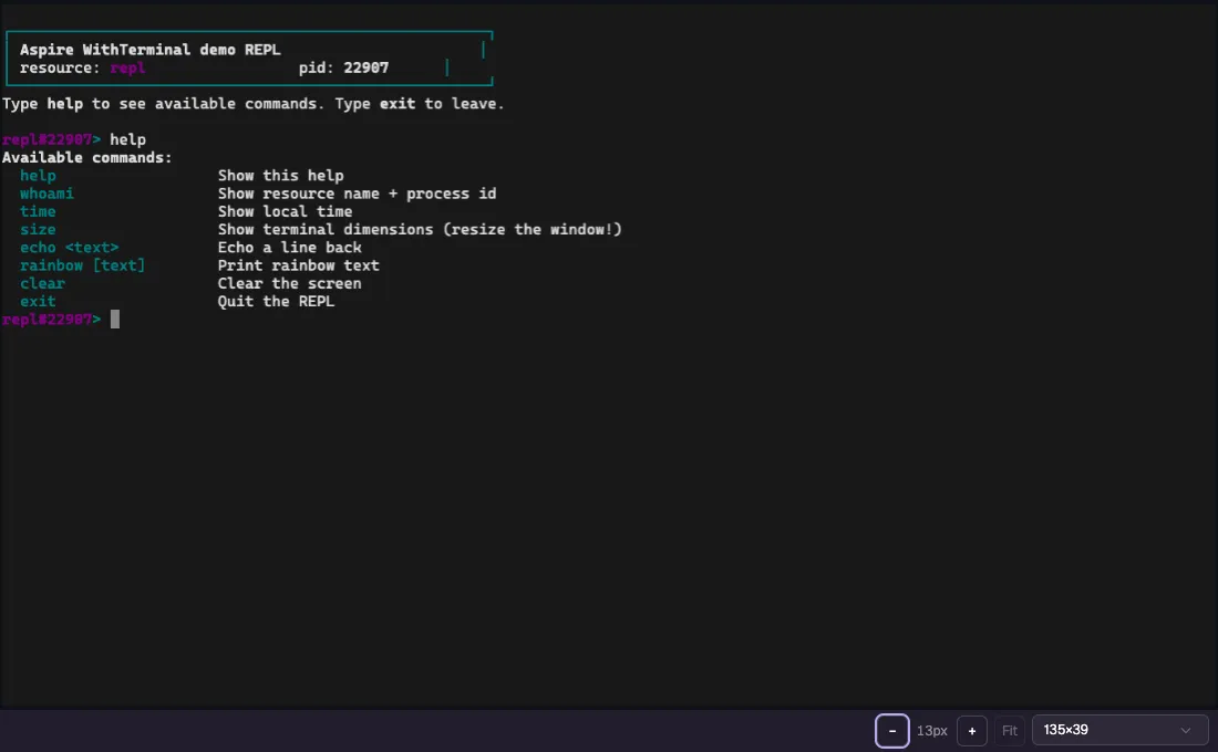 Detached resource terminal window showing the same REPL, with font and grid-dimension controls but no dashboard navigation.