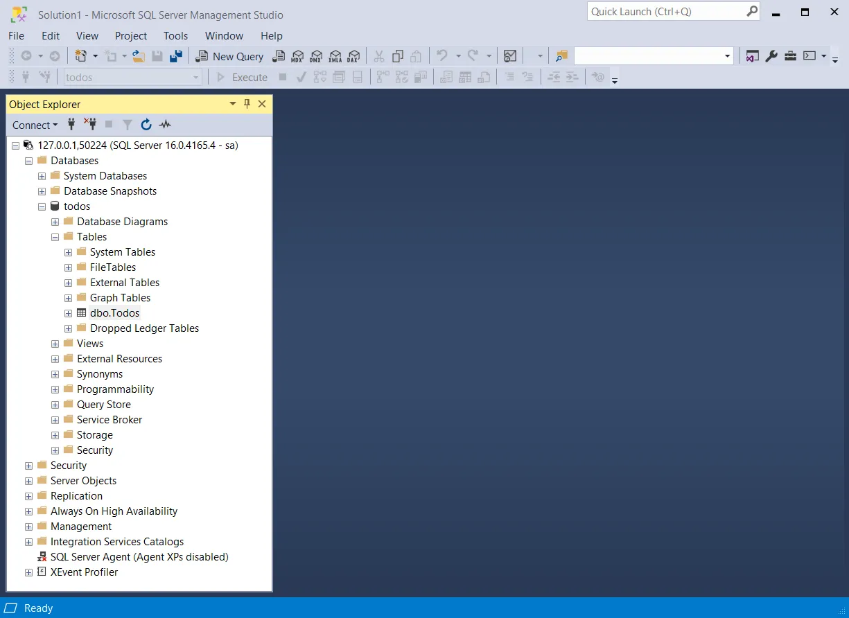 SQL Server Management Studio: Connected to database.